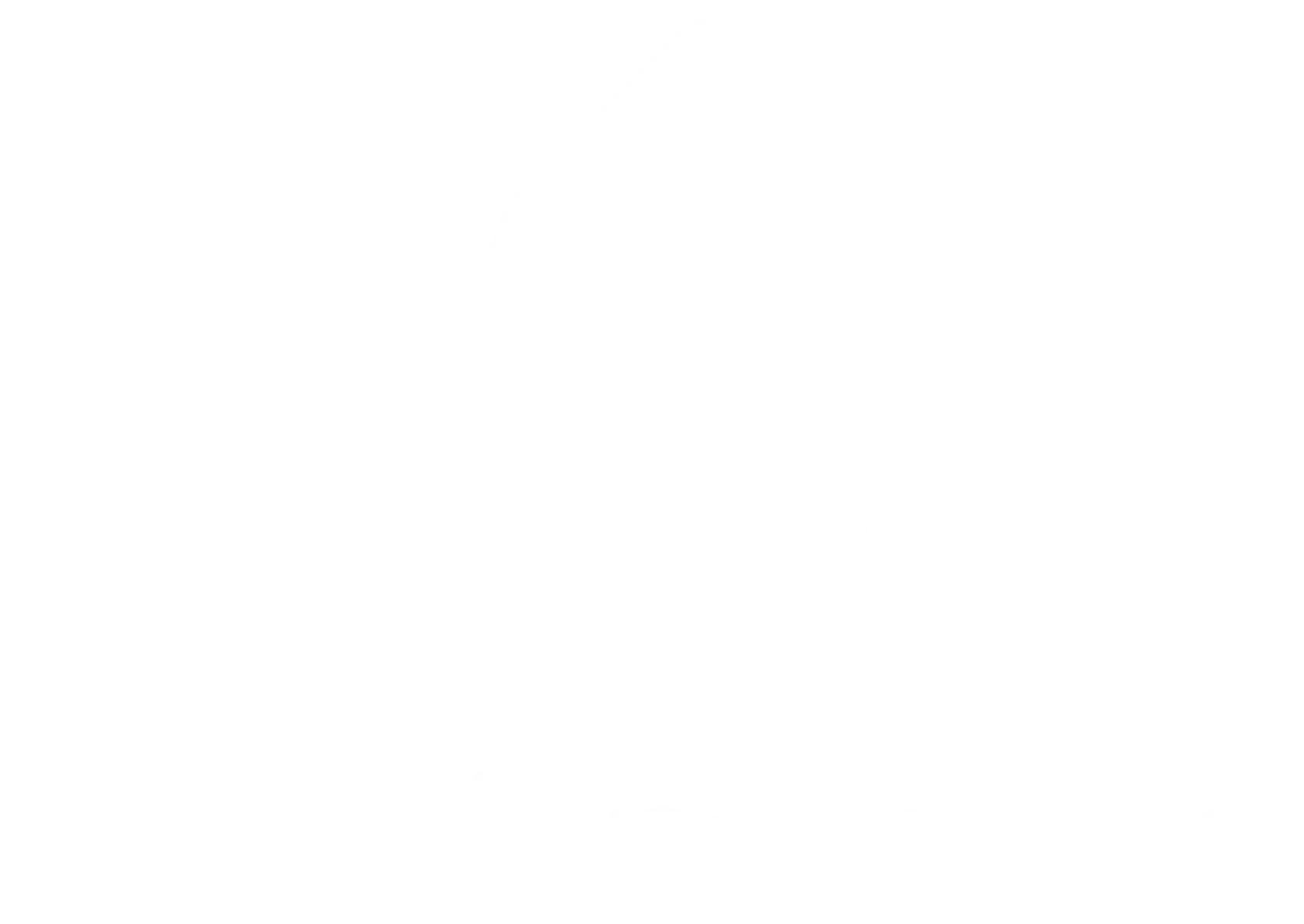 Smith Marion Logo White